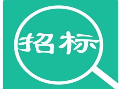 招标公司