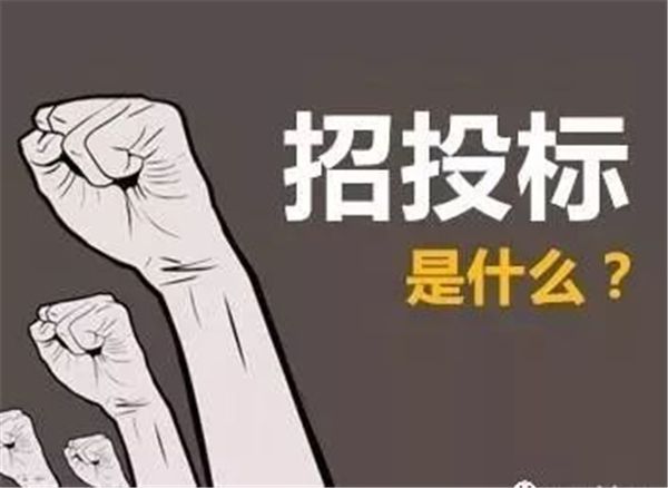 招标公司